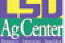 AgMinute