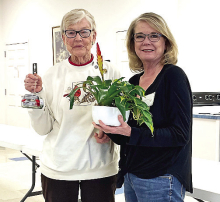 Mansfield Garden Club Holds February Meeting