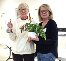 Mansfield Garden Club Holds February Meeting