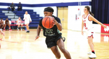DeSoto Parish Lady Wolverines, Tigers,