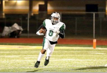 2019 Mansfield Wolverines’ Season Photos