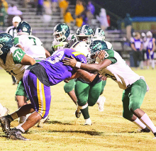 Wolverines Win First-Round Playoff Game 34-28