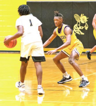 LHS Stung by Arcadia, Knocking Them Out of the Basketball Play-offs 62 – 37