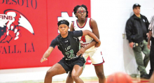 DeSoto Parish Lady Wolverines, Tigers,