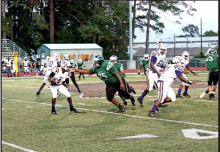Article Image Alt Text