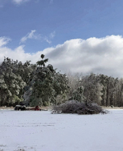 Several Deaths Reported During DeSoto Parish Storm