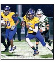 Tigers Lose Desoto Parish Battle to Wolverines