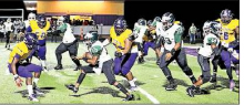 2019 Mansfield Wolverines’ Season Photos