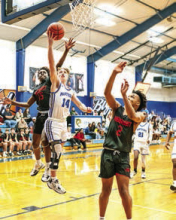 Lakeview Gators Chomp MHS Wolverines Boys & Girls