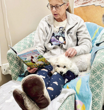 DeSoto Shelter Slumber Pawty Set for April 18