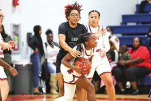 DeSoto Parish Lady Wolverines, Tigers,