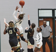 Lady Wolverines Beat Berwick in First Round Playoffs