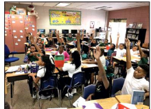 Article Image Alt Text