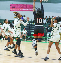 MHS Wolverines and Lady Wolverines Stomp Many Tigers