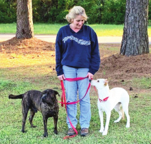 Fate of DeSoto’s Yopp Animal Shelter Closing Still Undecided