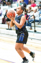 Stanley Lady Panthers Scratch Logansport Lady Tigers 42 to 29