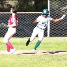 Lady Wolverines Fall to