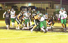 Mansfield Wolverines Fall to Jena Giants in Playoffs