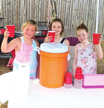 Lemonade Time on Old Mansfield Road