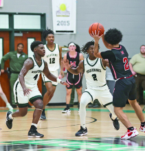 MHS Wolverines and Lady Wolverines Stomp Many Tigers