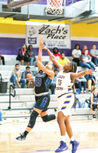 Stanley Lady Panthers Scratch Logansport Lady Tigers 42 to 29