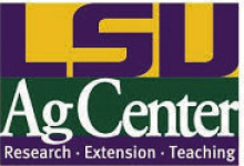 DeSoto Parish Cattlemen’s Association Quarterly Meeting