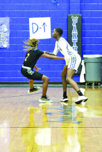 Stanley Basketball Stats