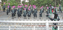 Mansfield Wolverines Defeat the Green Oaks Giants