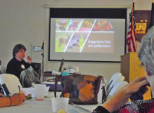 Mansfield Garden Club’s February Meeting