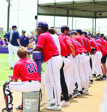 North DeSoto Baseball Results