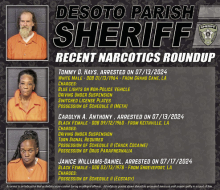 DPSO July Drug Arrests