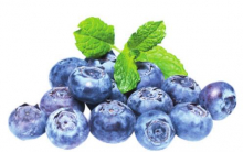 Article Image Alt Text