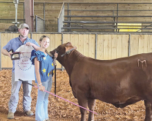 Addison Salley Takes Home Titles of Grand Champion Heifer and Supreme Overall Heifer