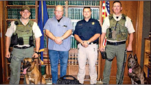Article Image Alt Text