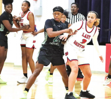DeSoto Parish Lady Wolverines, Tigers,