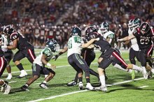 Wolverines Fall to Tigers in District Game