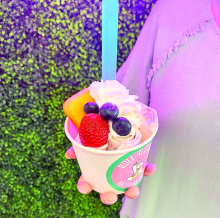 DeSoto Chamber Treats Roll’ N Stone Rolled  Ice Cream to Ribbon Cutting Ceremony