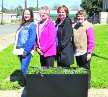Bon Chase DAR Chapter Puts NWLA Master Gardner Funds to Good Use