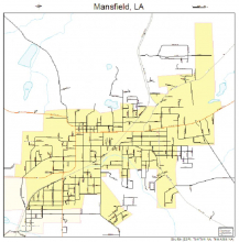 Mansfield Council Looks at Political