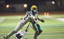 Article Image Alt Text