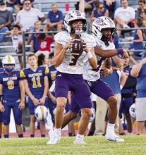 Tigers on the Road and Beat Buckeye 60 to 7
