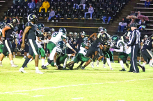 Mansfield Wolverines Fall to Jena Giants in Playoffs