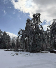 Several Deaths Reported During DeSoto Parish Storm