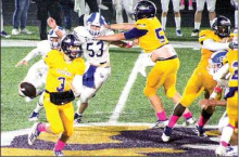 2019 Logansport Tigers’ Season Photos