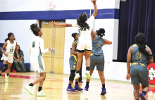 DeSoto Parish Lady Wolverines, Tigers,