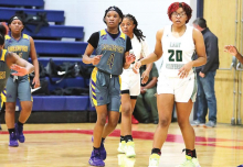 DeSoto Parish Lady Wolverines, Tigers,