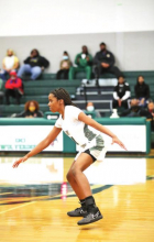 MHS Lady Wolverines Defeat the Carroll Lady Bulldogs in a Sunday Afternoon Playoff Game