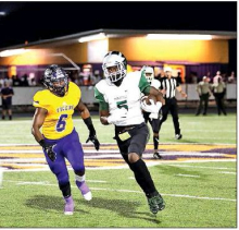 2019 Mansfield Wolverines’ Season Photos