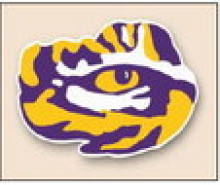 Logansport Touchdown Club Presents Auction Fundraiser