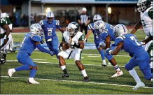 2019 Mansfield Wolverines’ Season Photos